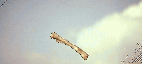"Bone Isolation Technique" animated GIF by @iamTalkyTina